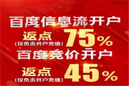 某某sem推广公司在某行业的应用与效果分析